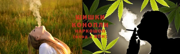 сатива Нефтекумск