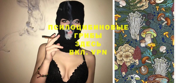 соль курить ск Бежецк
