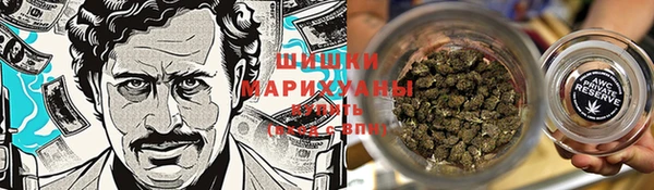 прущие грибы Нея